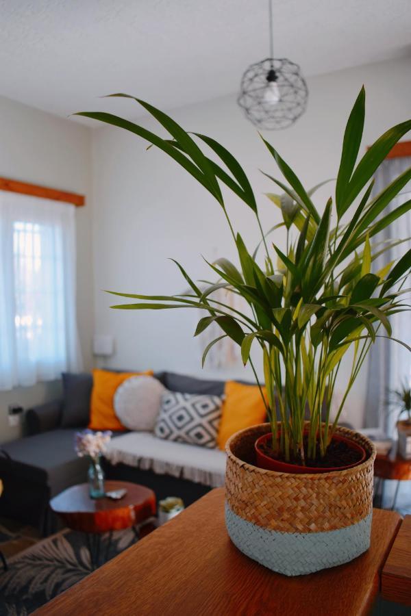 Elia'S House Traditional & Cozy By 8Essentially Kalyves Exteriér fotografie